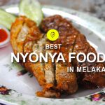 Nyonya Food is a fusion between Chinese & Malay Food. We have listed best restaurants to try Nyonya Cuisine in Melaka.