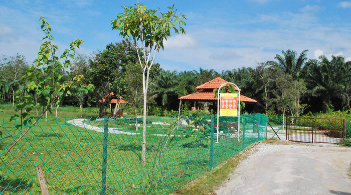 Visit Gadek Hot Springs Melaka to observe nature & healing