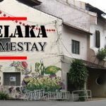 Here is a Homestay Melaka Guide for you to have an experience of Melaka life just like the locals do.