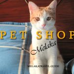 Best Pet Shops in Melaka for Pet Lovers