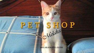 Best Pet Shops in Melaka for Pet Lovers